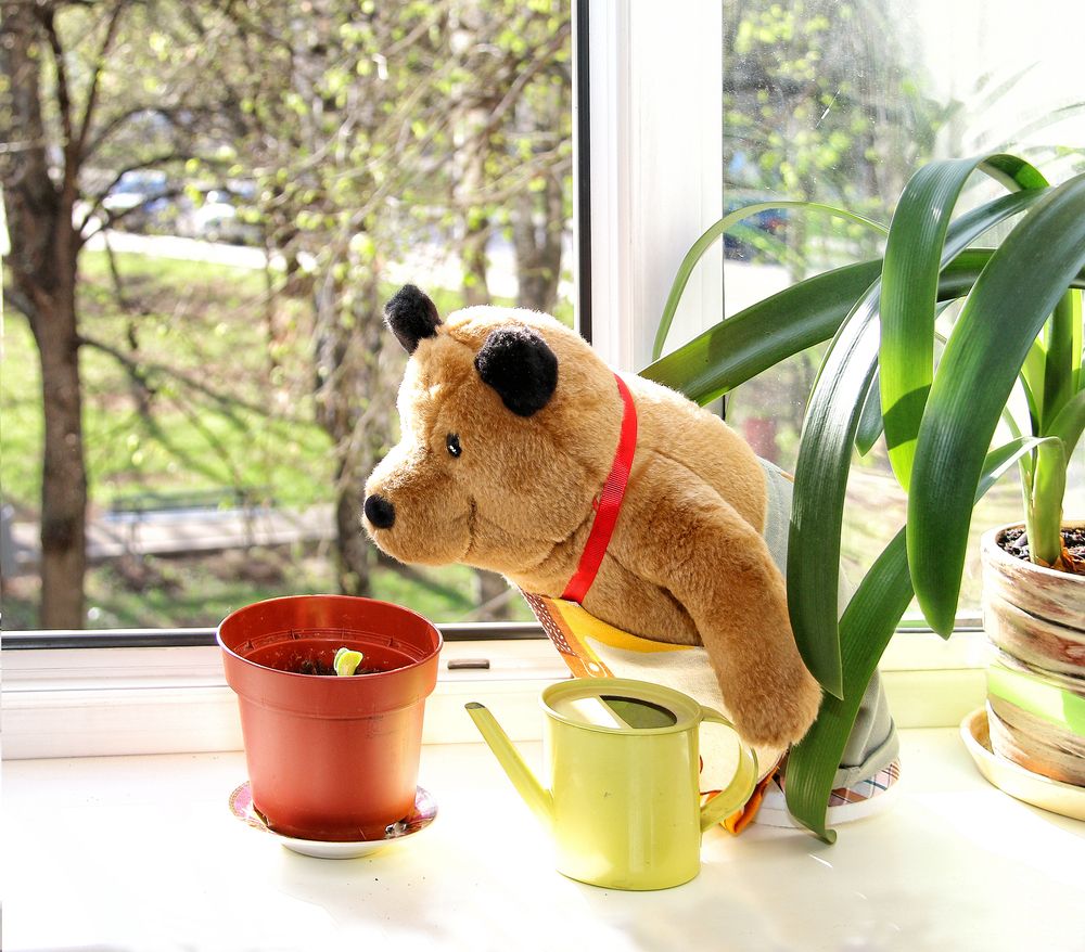 Фотография автора Елена Лаврова