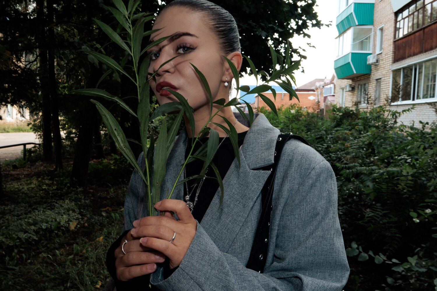 Photo #12590162
