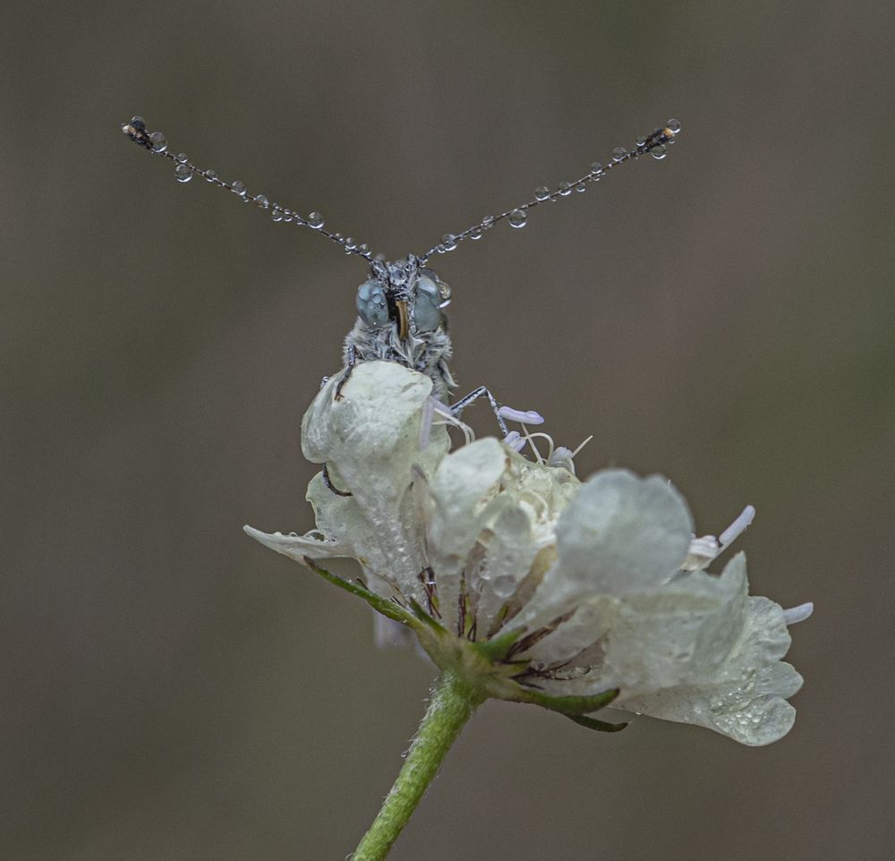 После дождя