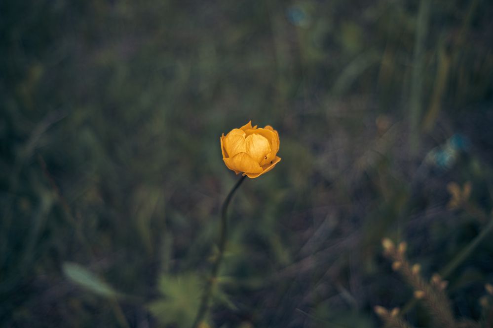 Photograph by Харламов Павел