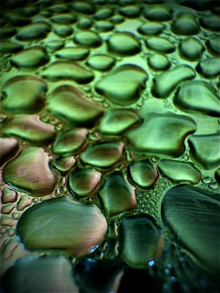 Photograph by Мария Халуторных