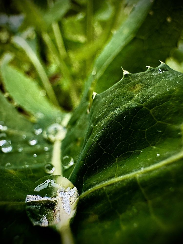 Photograph by Мария Халуторных
