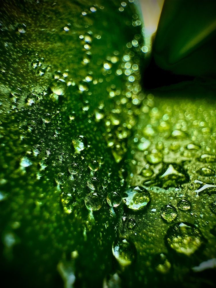 Photograph by Мария Халуторных