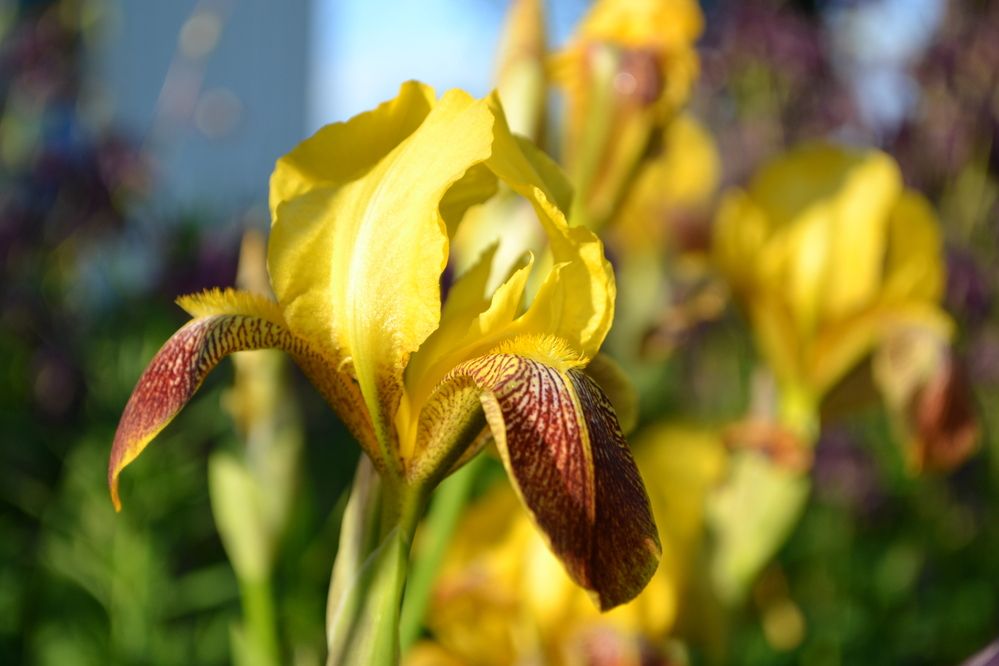 Photograph by Николай Дмитриев