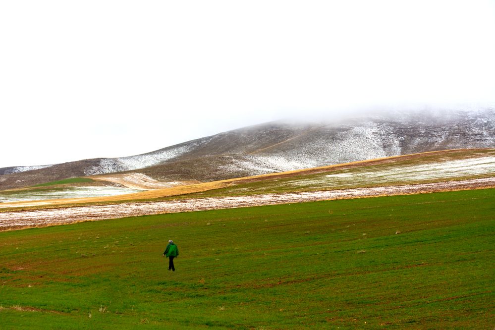 Photograph by محمودرضا نورایی