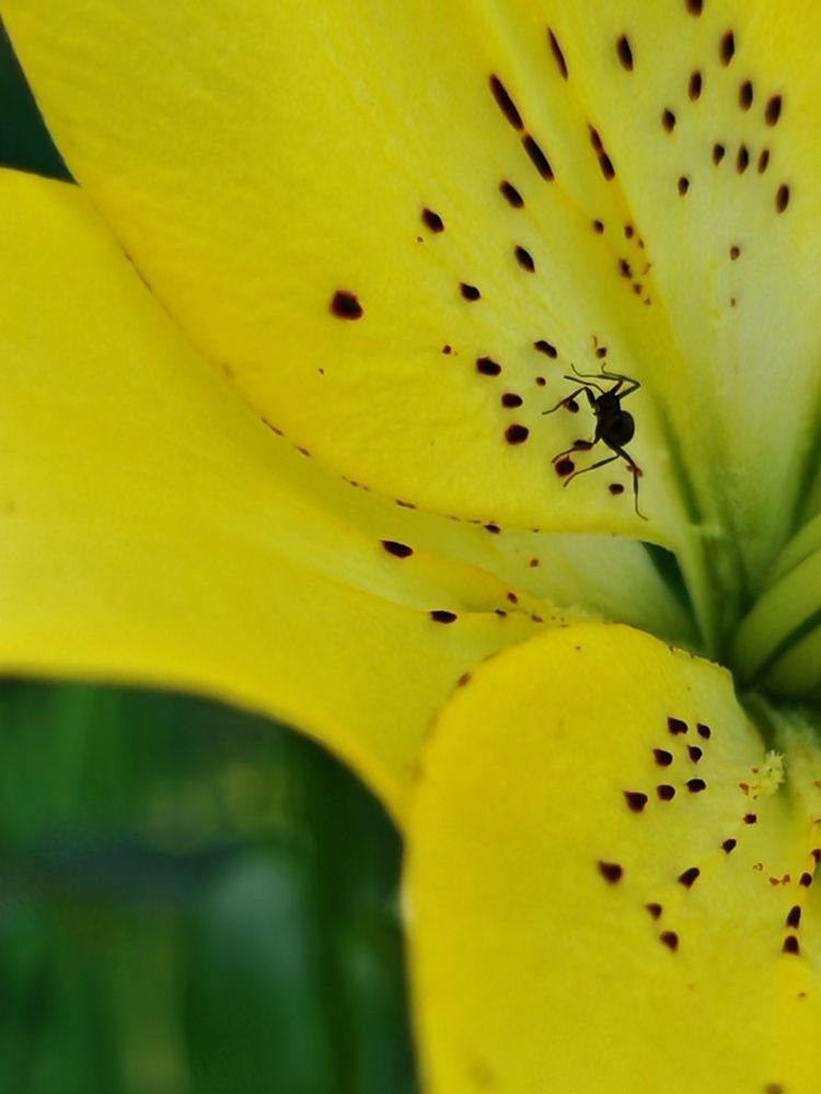 Фотография автора Ден Сук Пак
