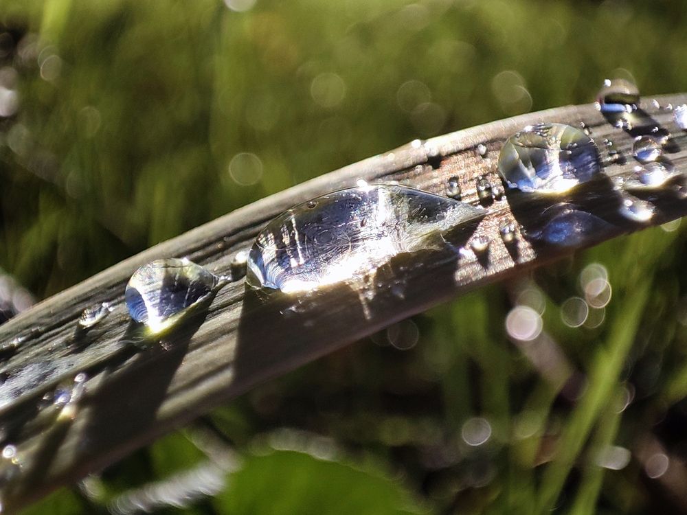 Photograph by Ольга Амосова