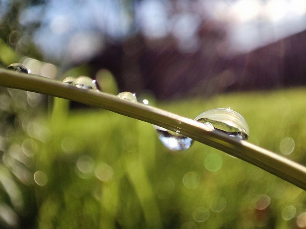 Photograph by Ольга Амосова