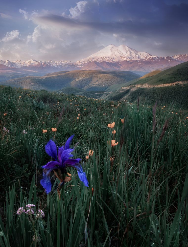 Photograph by Онучина Юлия