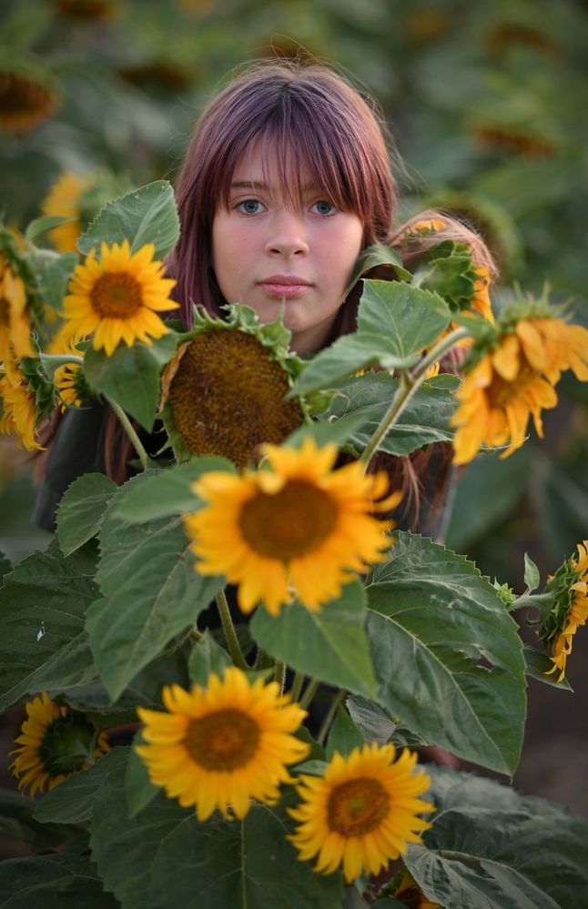 Photograph by Елена Пихурова