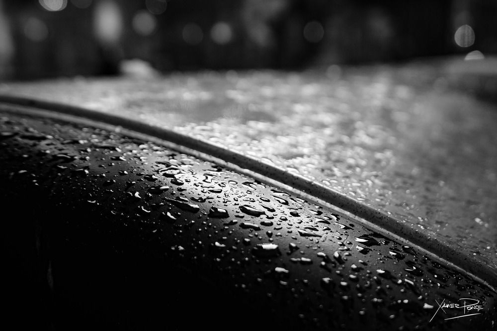 Photograph by Xavier Ponce