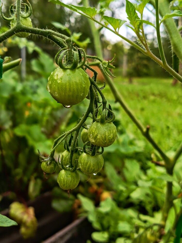 Photograph by Анна