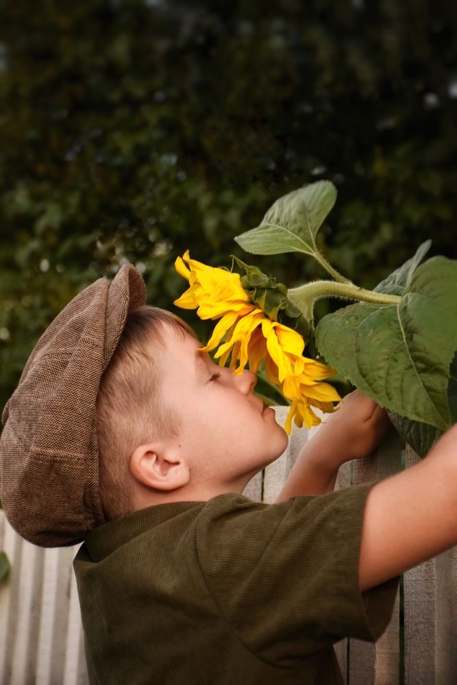 Photograph by Вера Пац