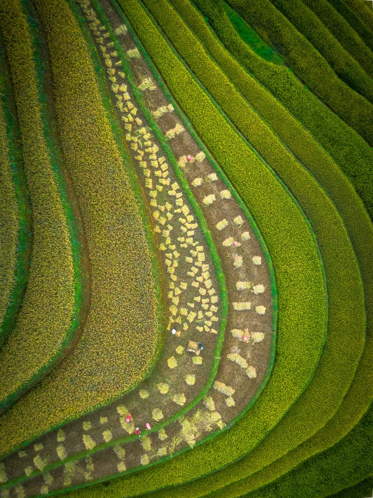 Photograph by Lê Huy Anh