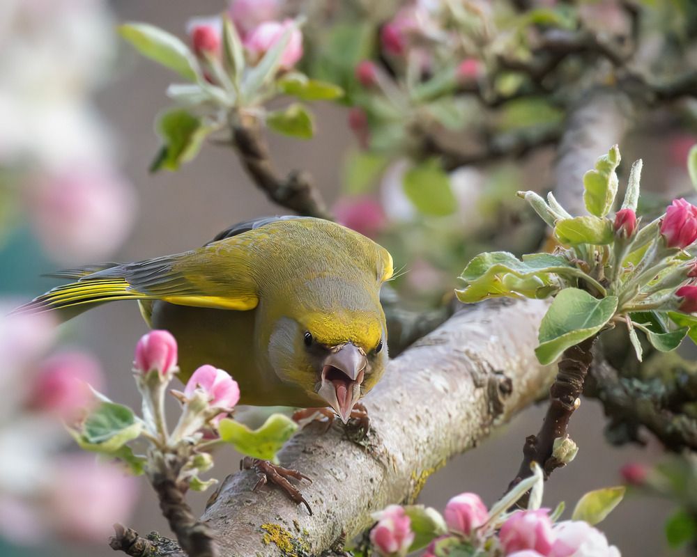 Photograph by Ворожцова Марина