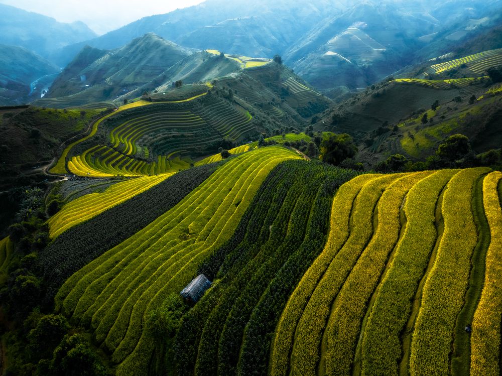 Photograph by Lê Huy Anh