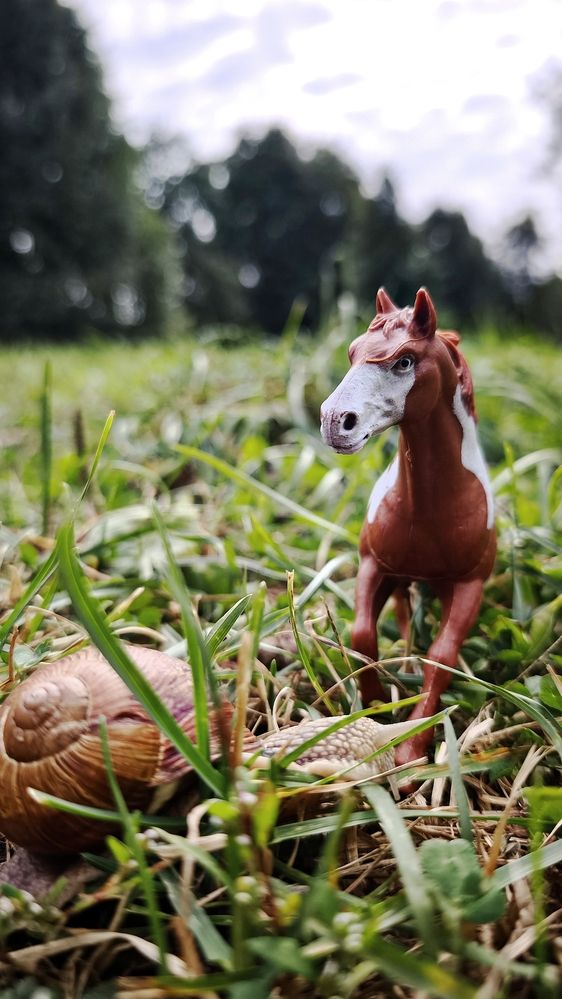 Photograph by Eugenia Blinova