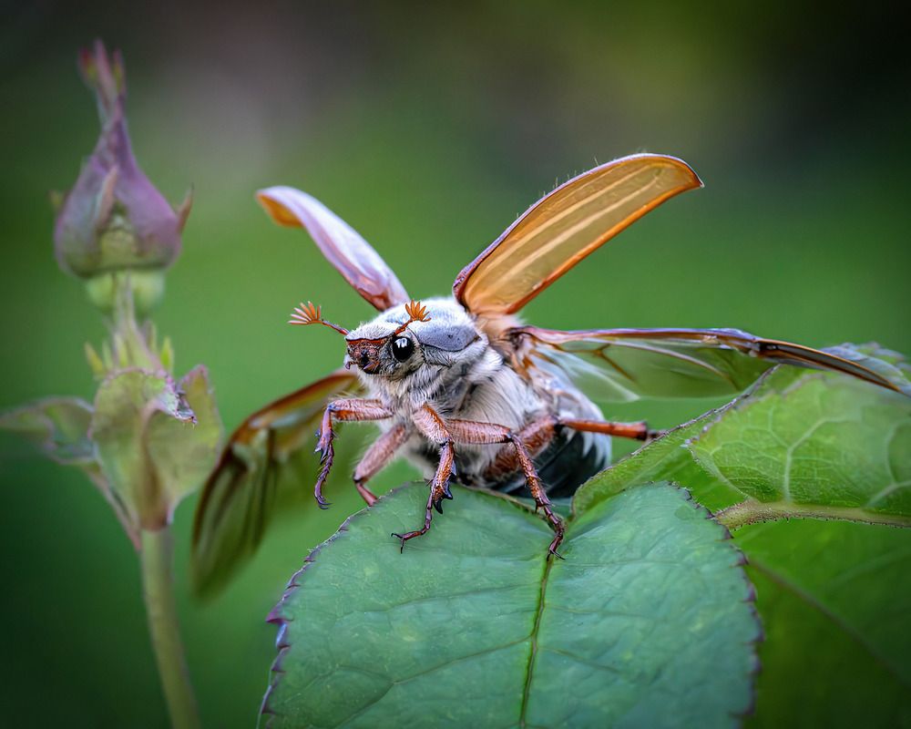 Приготовились! Взлетаем!