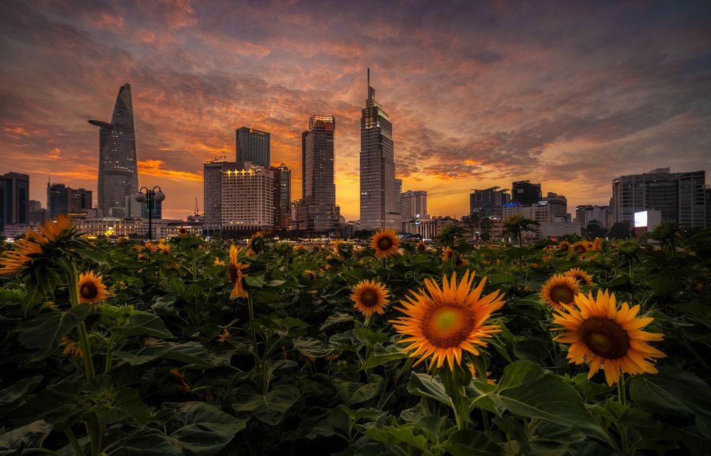 Photograph by Lê Huy Anh