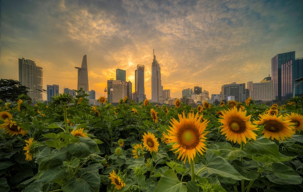 Photograph by Lê Huy Anh