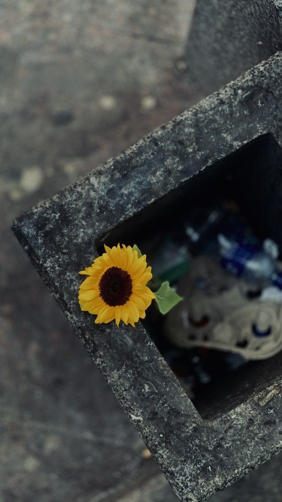 Photograph by Максим Азарчик