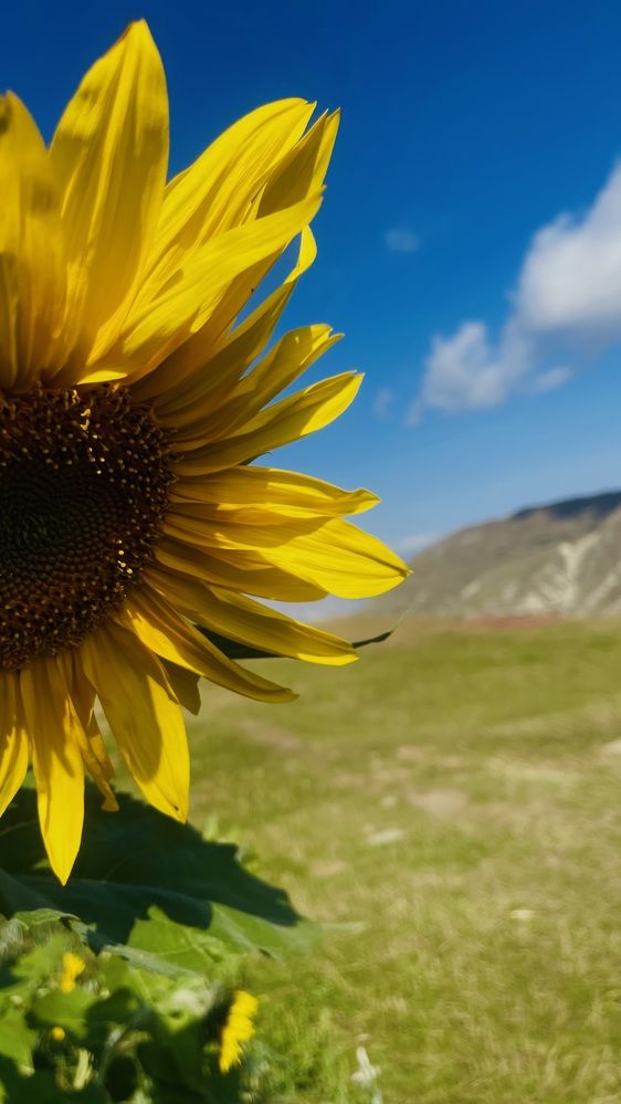 Photograph by Максим Азарчик