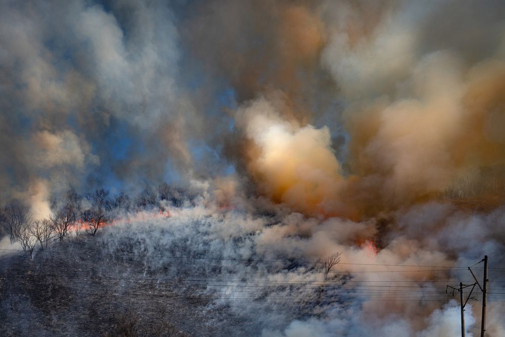 Photograph by Ольга Мусиенко