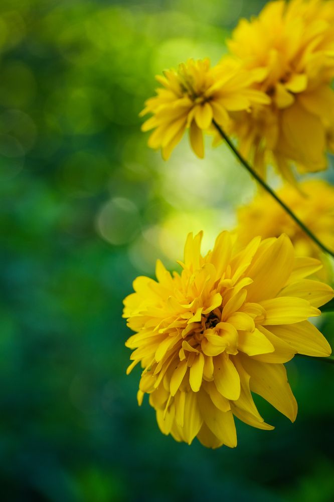 Фотография автора Александр Высоцкий