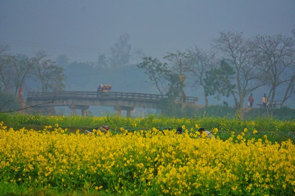 Фотография автора Washiful Majid