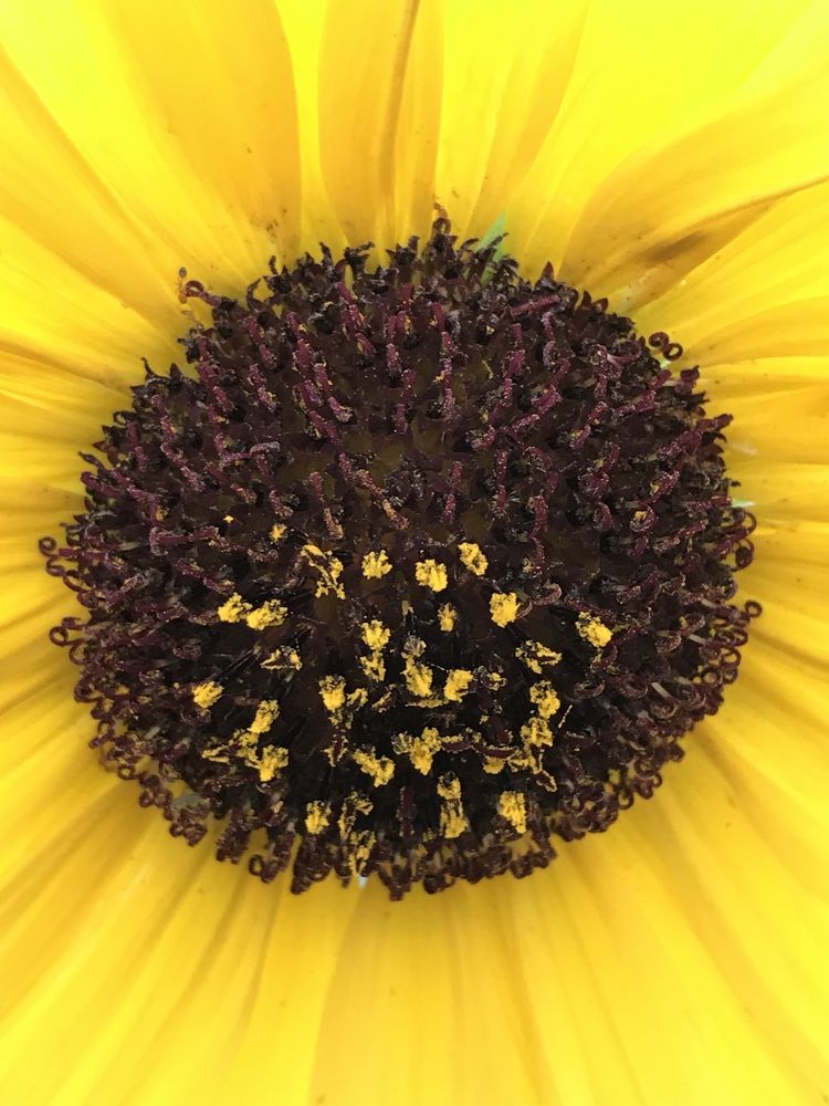 Фотография автора Washiful Majid