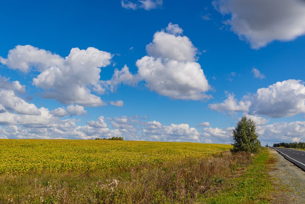 Photograph by Максим Фролов