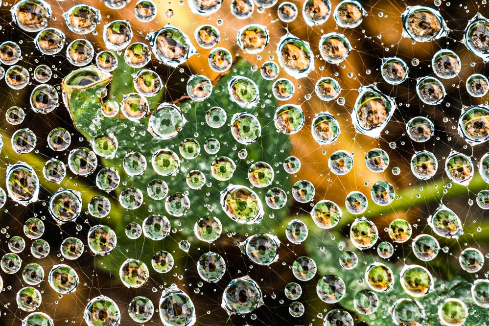 Photograph by Ольга Мусиенко