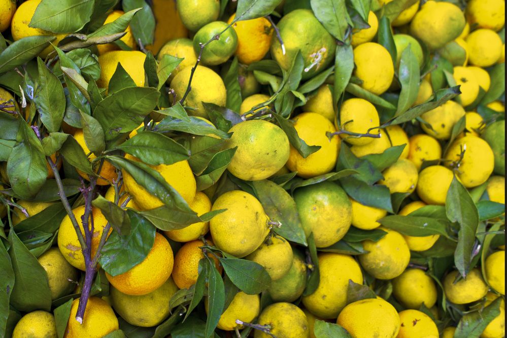 Photograph by Александр Журавлев