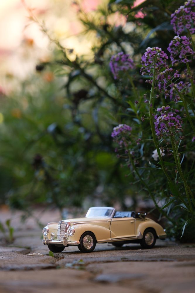 Фотография автора Ирина Толокновская