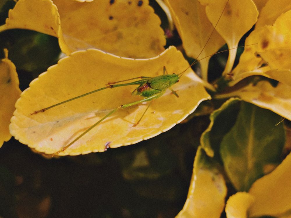 Photograph by Алёна Яцкевич