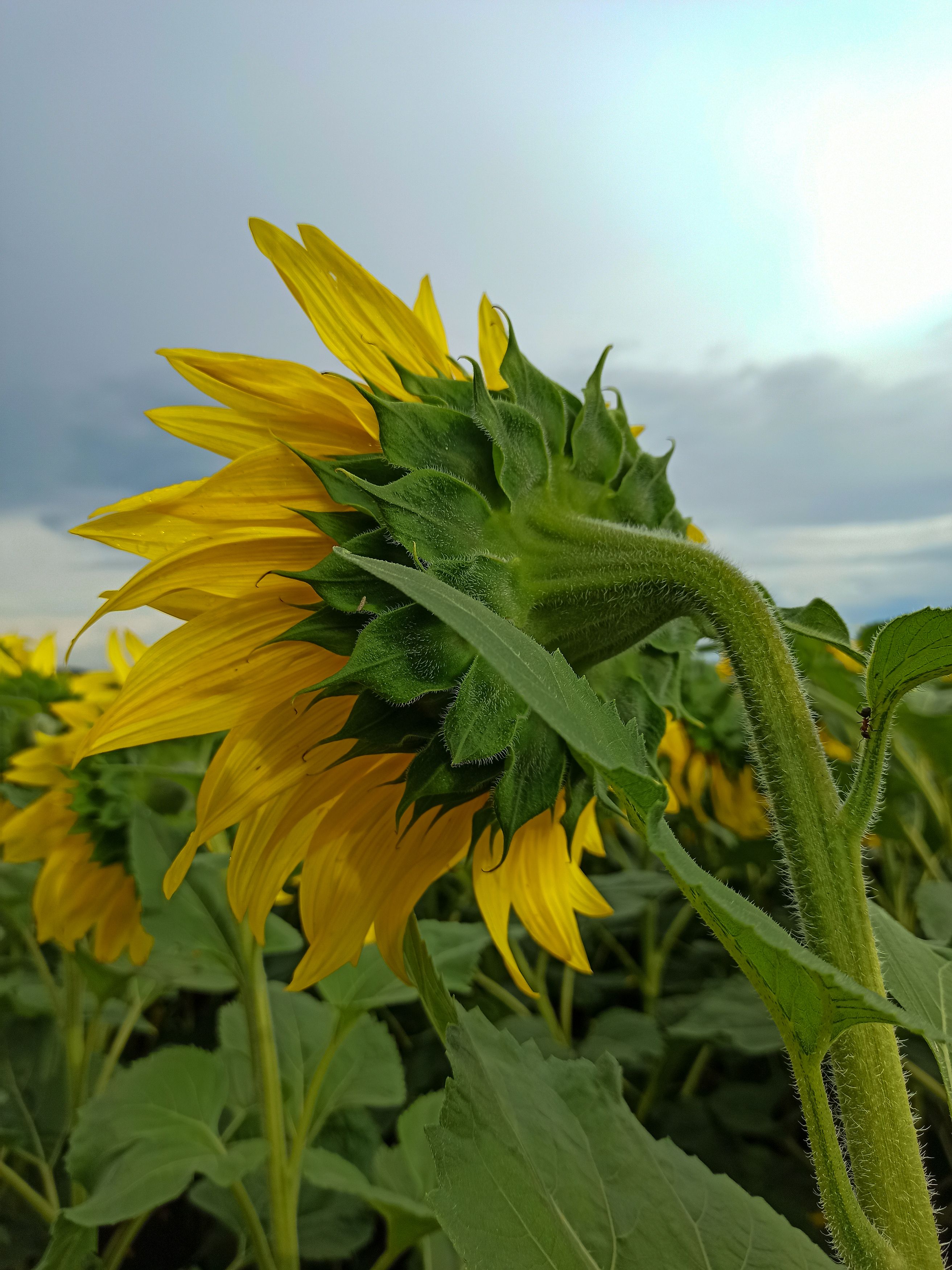 Photograph by Ирина Дегтярева