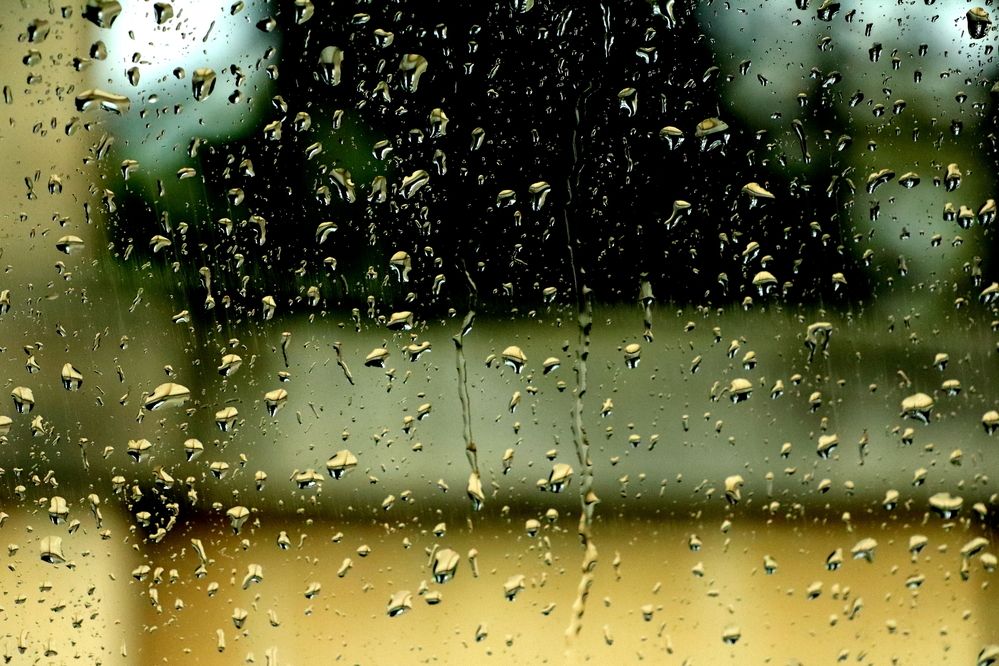 Photograph by Ernest Spiteri Gonzi