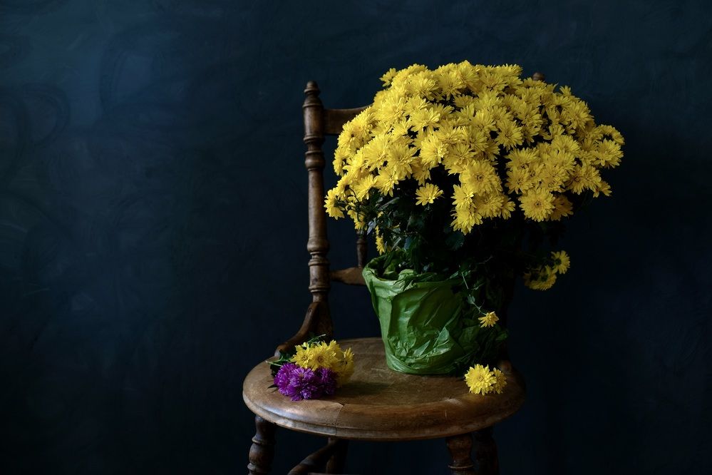 Autumn chrysanthemums