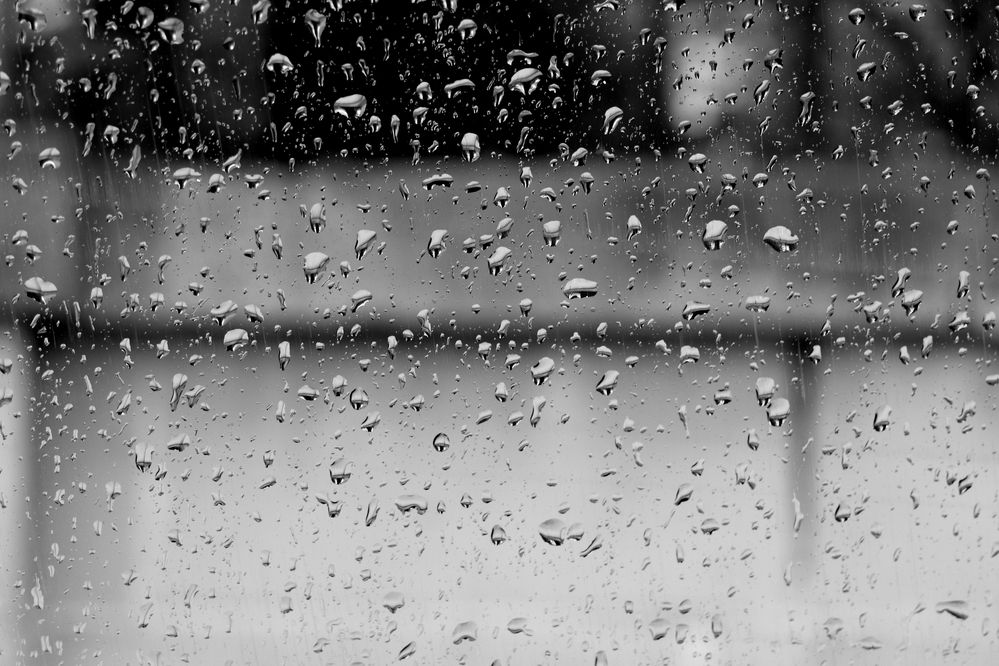 Photograph by Ernest Spiteri Gonzi