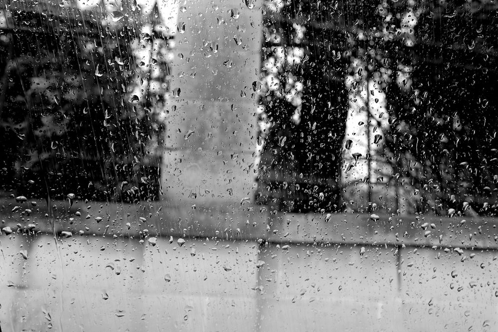 Photograph by Ernest Spiteri Gonzi