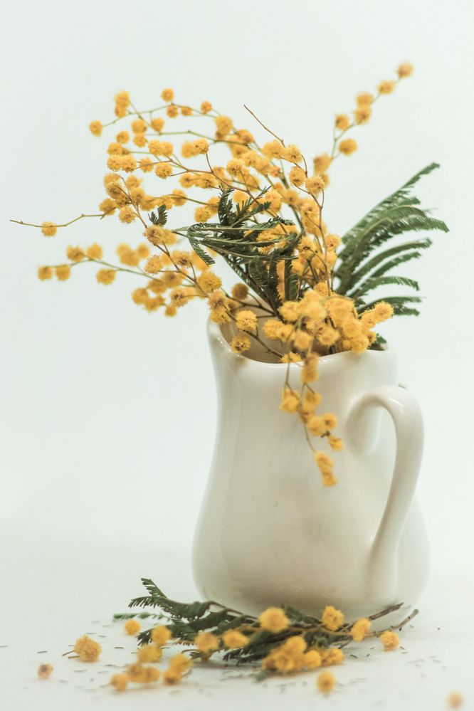 Photograph by Елена Квасова