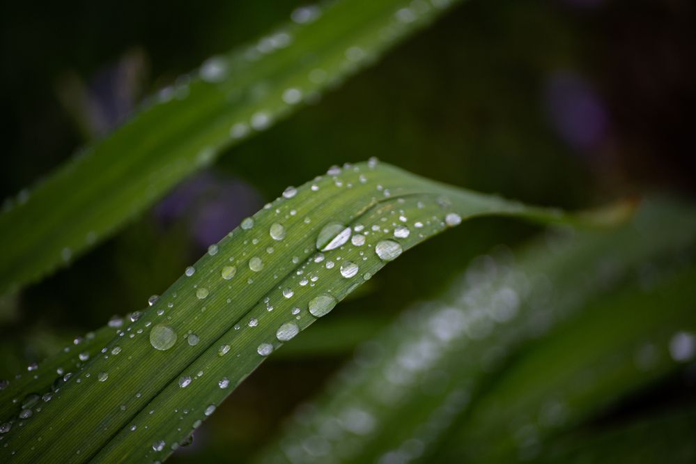 Photograph by Евгений Авдеев