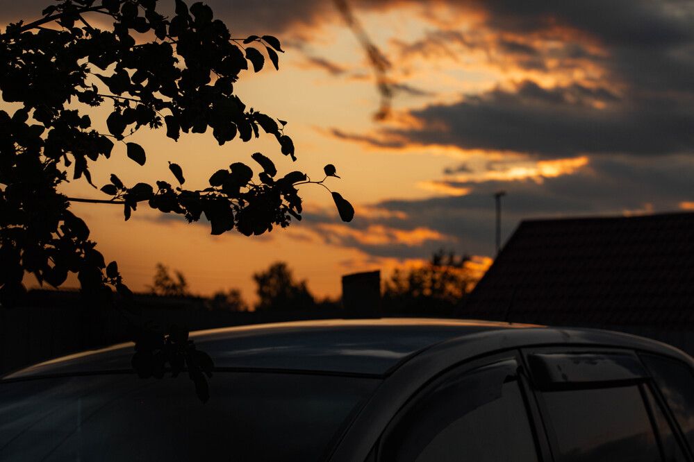 Photograph by Евгений Авдеев