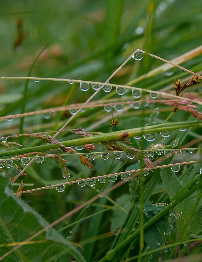 Photograph by Ирина Дегтярева
