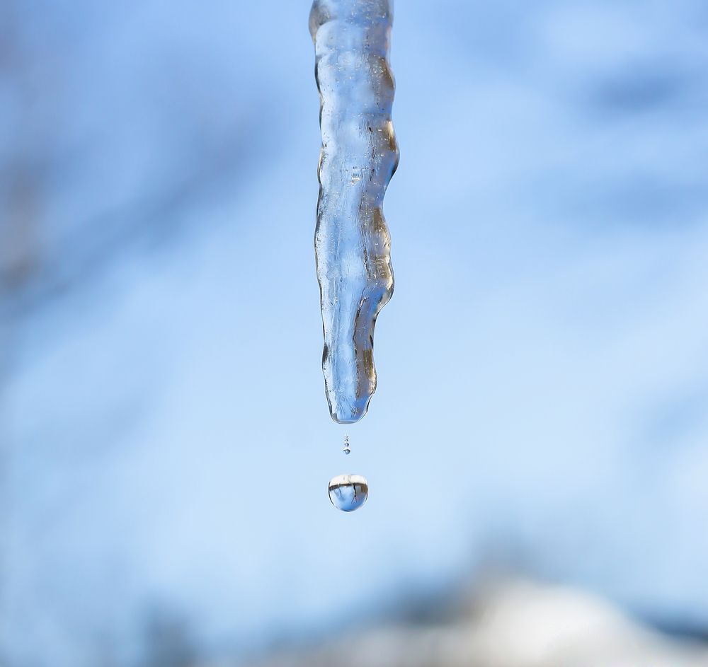 Photograph by Алексей Оборин