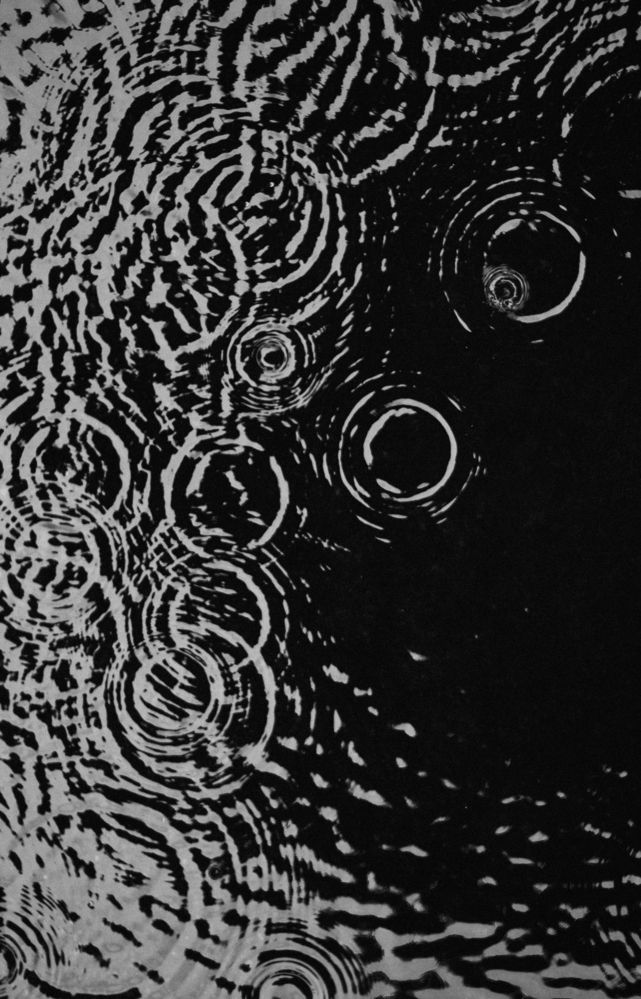 Фотография автора Gerun Ekaterina