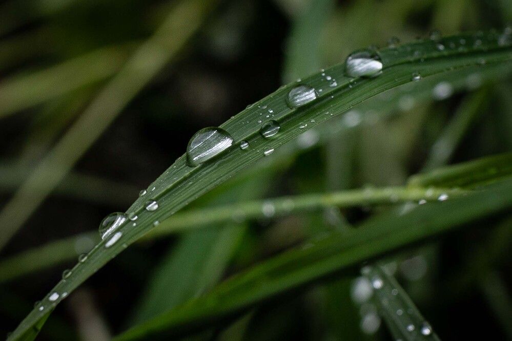 Photograph by Владислав Лопатов