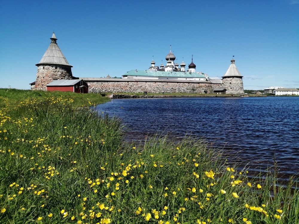 Лютики на берегу