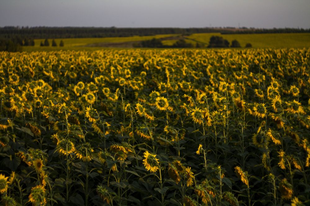 Photograph by Solomonov Evgeniy