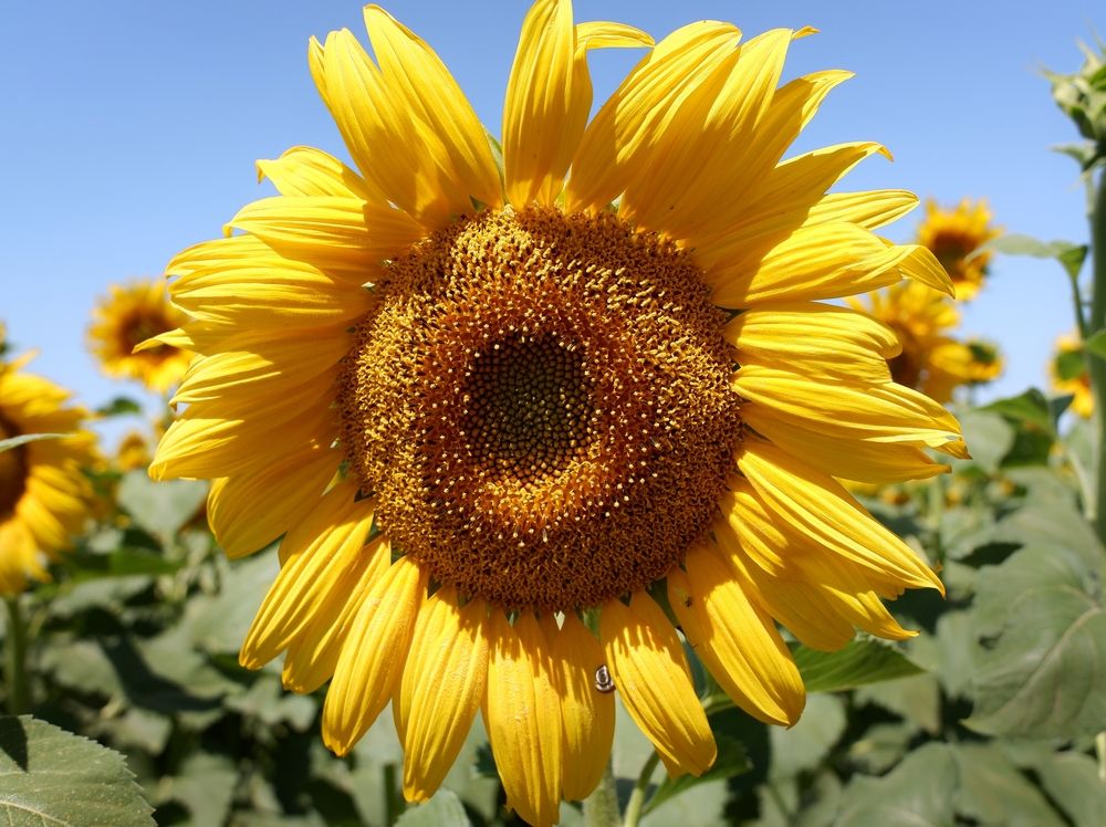 Photograph by Зорин Миша